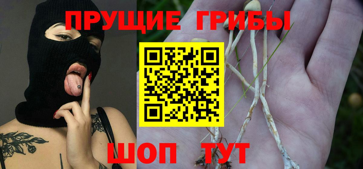 хочу   Вход с VPN  Кировск  Галлюциногенные грибы ЛСД 